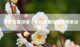手机屏幕按键（手机屏幕按键在哪里设置）
