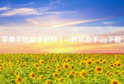 苹果手机助手越狱（ios越狱助手app下载）