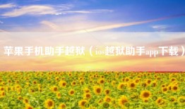 苹果手机助手越狱（ios越狱助手app下载）