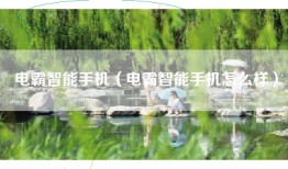 电霸智能手机（电霸智能手机怎么样）