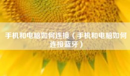 手机和电脑如何连接（手机和电脑如何连接蓝牙）
