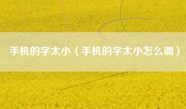 手机的字太小（手机的字太小怎么调）