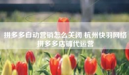 拼多多自动营销怎么关闭 杭州快羽网络拼多多店铺代运营