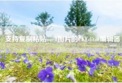 支持复制粘贴word图片的CKEditor编辑器