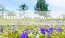 支持复制粘贴word图片的CKEditor编辑器