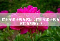 昆明苹果手机专卖店（昆明苹果手机专卖店在那里？）