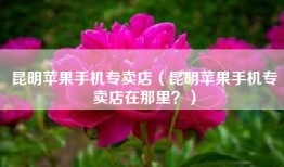 昆明苹果手机专卖店（昆明苹果手机专卖店在那里？）