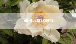 郑州seo优化服务