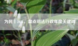 为民丨2021，盘点司法行政年度关键词