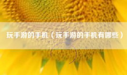 玩手游的手机（玩手游的手机有哪些）