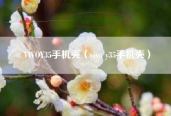 VIVOY35手机壳（vivo y35手机壳）