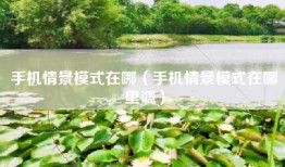 手机情景模式在哪（手机情景模式在哪里调）