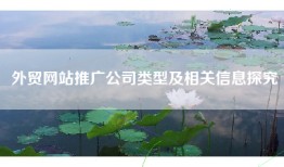外贸网站推广公司类型及相关信息探究