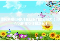 如何利用SEO提升企业的网络影响力（SEO排名的重要性和意义）