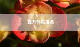 提升网站排名