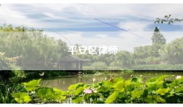 平安区律师
