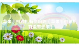 苹果手机刷机有影响吗（苹果手机刷机有没有影响）