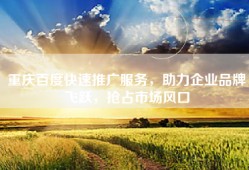 重庆百度快速推广服务，助力企业品牌飞跃，抢占市场风口