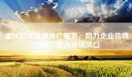 重庆百度快速推广服务，助力企业品牌飞跃，抢占市场风口
