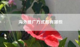 海外推广方式都有哪些