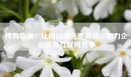 搜狗收录：让网站曝光更高效，助力企业赢得互联网竞争
