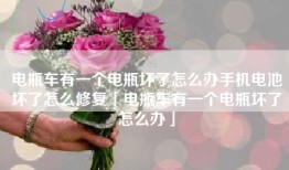 电瓶车有一个电瓶坏了怎么办手机电池坏了怎么修复「电瓶车有一个电瓶坏了怎么办」