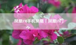 凤凰FM手机凤凰「凤凰FM」