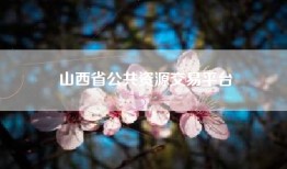 山西省公共资源交易平台