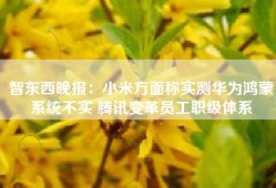 智东西晚报：小米方面称实测华为鸿蒙系统不实 腾讯变革员工职级体系