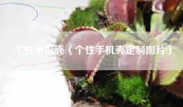 个性手机壳（个性手机壳定制图片）