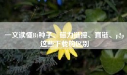 一文读懂Bt种子、磁力链接、直链、p2p这些下载的区别