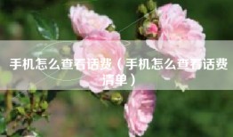 手机怎么查看话费（手机怎么查看话费清单）