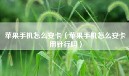 苹果手机怎么安卡（苹果手机怎么安卡用针行吗）