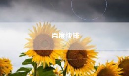 百度快排
