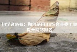 初学者必看：如何使用SEO综合查找工具提升网站排名