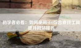 初学者必看：如何使用SEO综合查找工具提升网站排名
