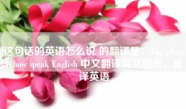 这句话的英语怎么说 的翻译是：The phrase how speak English 中文翻译英文意思，翻译英语
