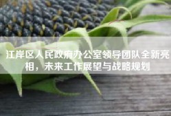 江岸区人民政府办公室领导团队全新亮相，未来工作展望与战略规划