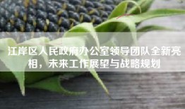 江岸区人民政府办公室领导团队全新亮相，未来工作展望与战略规划