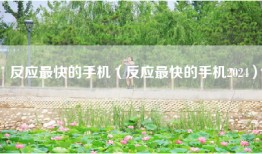 反应最快的手机（反应最快的手机2024）