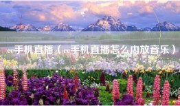 cc手机直播（cc手机直播怎么内放音乐）
