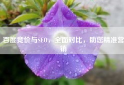 百度竞价与SEO，全面对比，助您精准营销