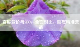 百度竞价与SEO，全面对比，助您精准营销