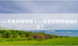 vivo手机应用市场（vivo手机应用市场叫什么）