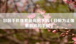 目前手机像素最高的手机（目前为止像素最高的手机）