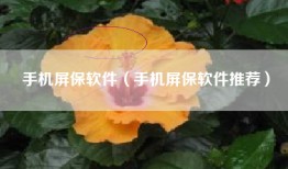 手机屏保软件（手机屏保软件推荐）