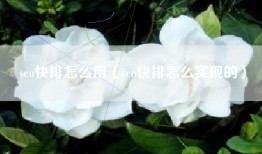 seo快排怎么用（seo快排怎么实现的）