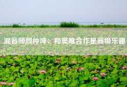 混音师颜仲坤：和窦唯合作是高级乐趣