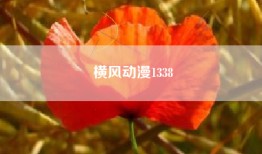 横风动漫1338