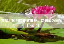 重磅！国务院正式批复，沈阳成为国家”样板“！